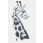 Body / Giraf